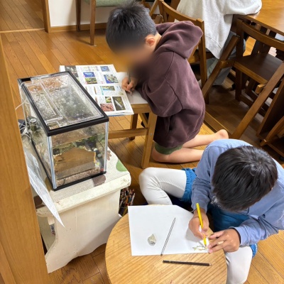 等々力のアート教室・不登校支援フリースクールならてらこやmapleの熱中教室